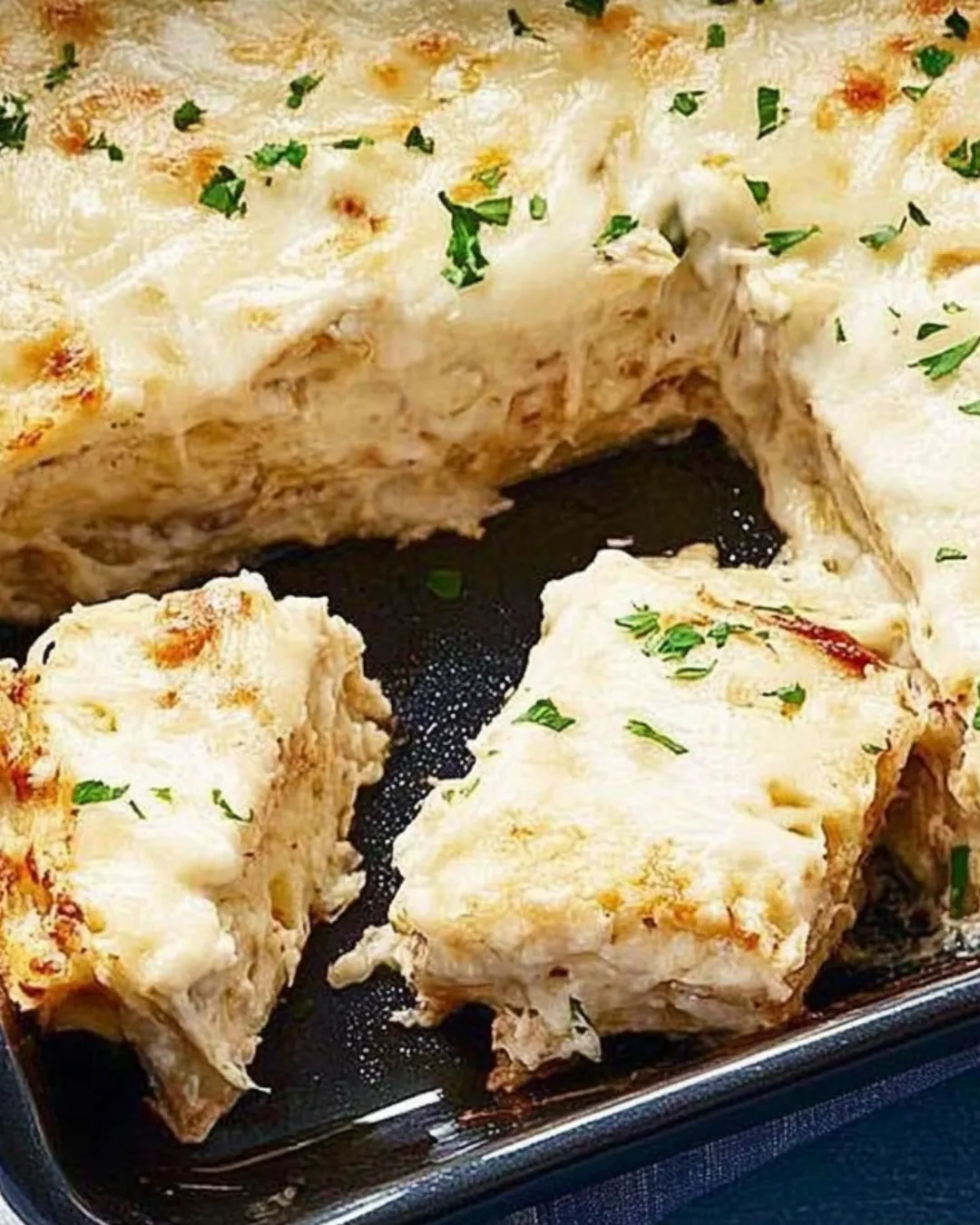 Chicken Alfredo Lasagna Recipe