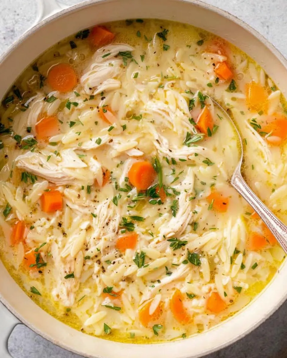 Lemon Chicken Orzo Soup in rustic bowl with lemon garnish